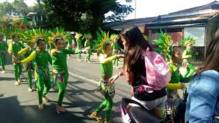 Binalayan parade binangonan rizal 2019 #Youtubeshorts #shorts
