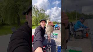 Секретная добавка для ловли лещей #рыбалка #фидер #лещ