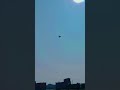 The Skeleton Kite ☠️🪁" #kiteflying #kites #short