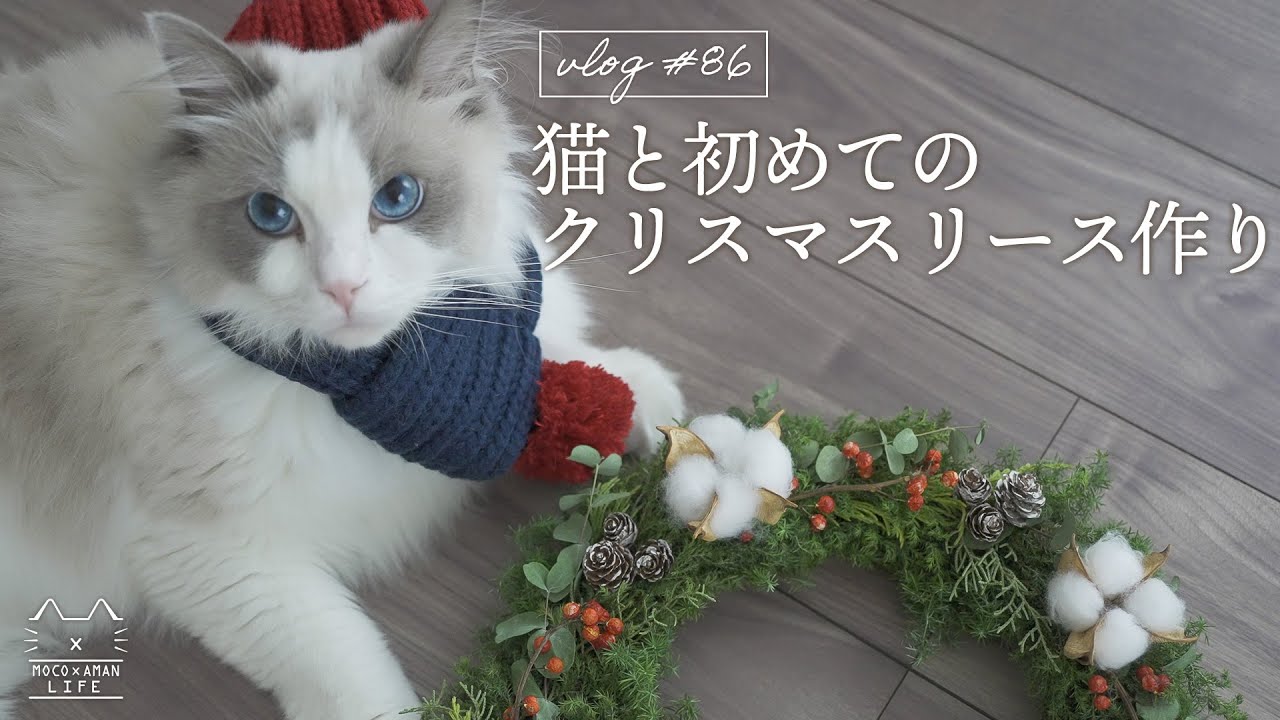 海外作家様作　アートドール　クリスマスな猫 海外作家様作 アートドール クリスマスな猫