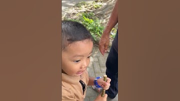 Thumbnail of Babi Alas Purwo | babyrayyanstory #wisataalam