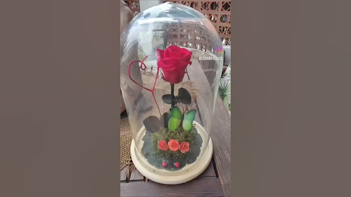ROSAS ETERNAS SAN VALENTÍN