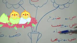 تعلم القراءة والكتابة للأطفال الصغار للغة العربية حرف الضاد