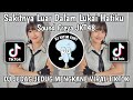 DJ SAKITNYA LUAR DALAM LUKAIHATIKU-DJ SAKITNYA LUAR DALAM MENGKANE VIRAL TIKTOK DJ FREYAJKT48