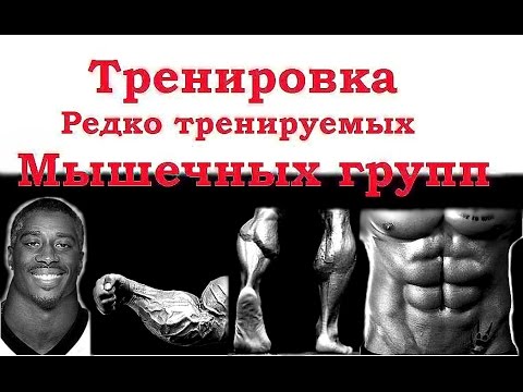 Тренировка редко тренируемых мышечных групп