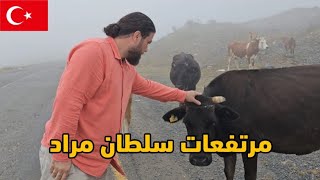 مرتفعات وضريح السلطان مراد| شاهدأجمل طبيعة |سويسرا الشمال التركي|وصلتBayburtاعلى قمة في قلعة بايبورت