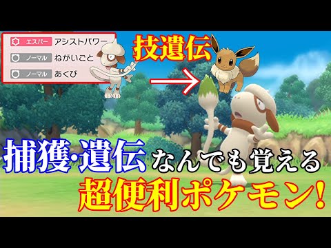 ダイパリメイク タマゴ技遺伝 捕獲要因最強 ドーブル紹介 ポケモンbdsp Youtube