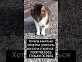 Смешная кошка: хотела заняться спортом