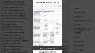 Excel Time Savers : Finding Below Average Items with Filters