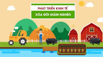 Cao Bằng Ứng Dụng Khoa Học Công Nghệ Vào Sản Xuất Và Đời Sống