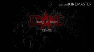Edane-Jungle beat(Lyric)