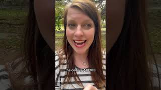 Black Friday SAT/ACT Prep Deals on Now at SupertutorTV.com
