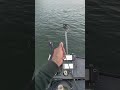 Lake perris 4/7/26