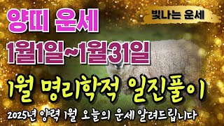 양띠 1월운세2025년운세 1월1일~1월31일 일진운세 양띠오늘의운세갑진년 정축월 을사년 무인월 양띠금전운 …