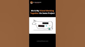 When My Friend Working On Same Project | Codeswithsam #coding #programming #developer