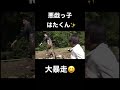 【佐賀よかでしょう。】いたずら大好きなはた君😆✨【切り抜き】【山復興】