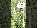 Rate mal! Wo bin ich?