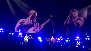 Red Hot Chili Peppers - The Adventures of Rain Dance Maggie (Palacio De Los Deportes,MéxicoCity2017)