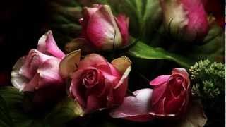 .Zeki Müren Bir Gülü Bir Seni Sevdim