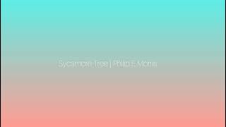 Sycamore Tree | Philip E Morris