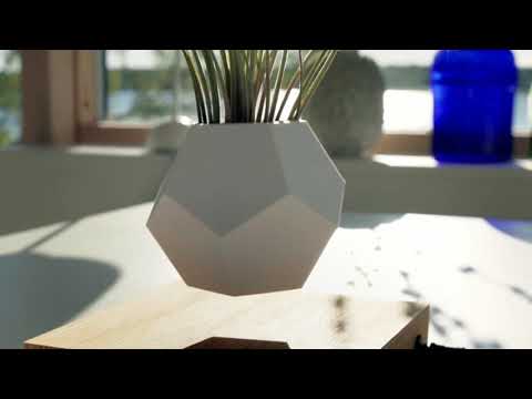 Decorora™ Levitating Plant