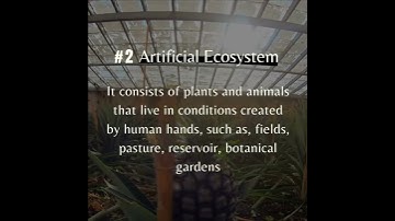 Natural Ecosystems and Artificial Ecosystems