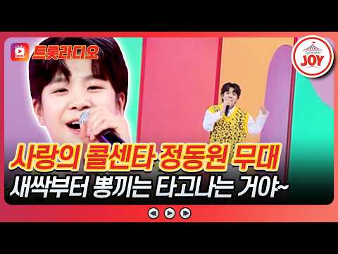 될성부른 아이! 역시 떡잎부터 다르다!🌱 정동원 무대 모음♪ 트롯라디오 #TVCHOSUNJOY (TV CHOSUN 210401 방송 외)