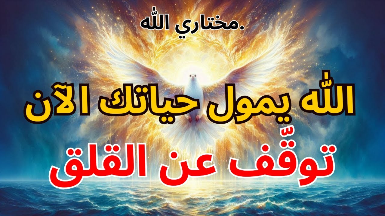 مختاري الله: الله يمول حياتك الآن — توقّف عن القلق | بركة الله