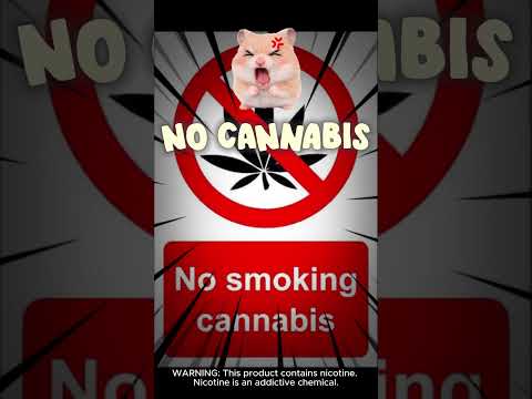 Do Geek Bars Have THC?