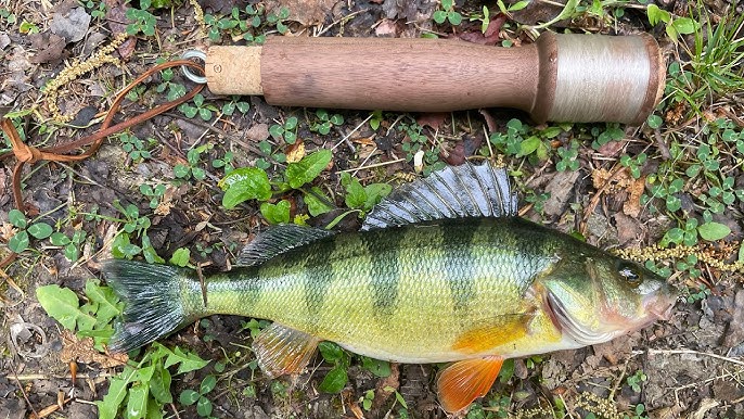 Fishing for BIG CARP on a TINY hand reel! Record size for Daggerfish Gear!  