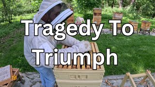 Transforming Beekeeping Failures into Triumphs 🐝 🍯