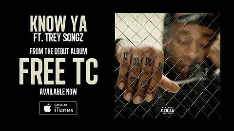 Ty Dolla $ign - Know Ya ft. Trey Songz [Audio]