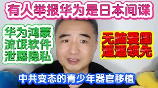 翟山鹰：有人举报华为是日本间谍 你怎么看 | 华为鸿蒙流氓软件泄露隐私 | 小粉红无脑爱国遥遥领先 | 中共变态的青少年器官移植