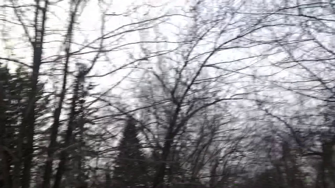 Человек молча гуляет по аллее - YouTube