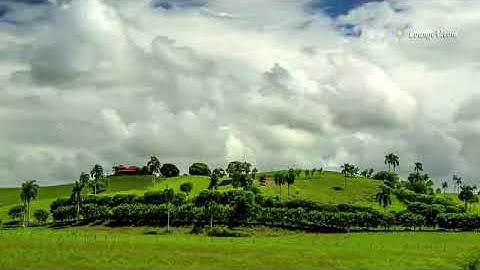 سورة النجم للقاريء جاسم محمد السليفاني
