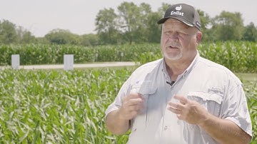How to Control Volunteer Corn on Enlist E3® Soybeans