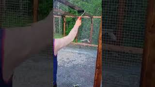 Painting chicken wire black makes it nearly invisible #shortvideo