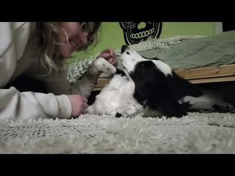 YouTubeでCharlotte Clark - Mother's Eyes (fan music video)を視聴