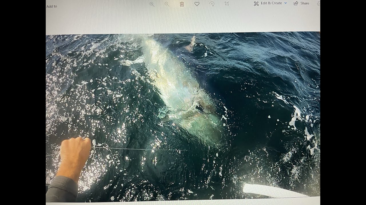 New Jersey Giant!! YouTube