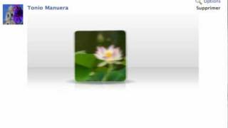 BannerZest Fun Pics on Facebook screenshot 5