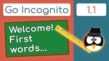 Welcome to the Course | Go Incognito 1.1