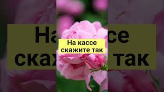 На Кассе Скажите Так#Shorts