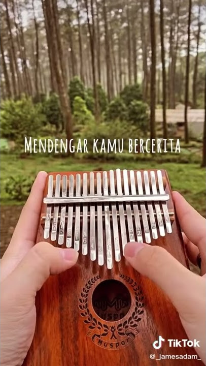Izinkan Ku Lukis Senja tiktok (Kalimba instrument)