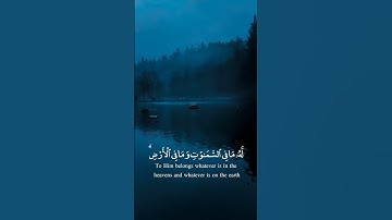 آية الكرسي ..القارئ عبدالرحمن مسعد