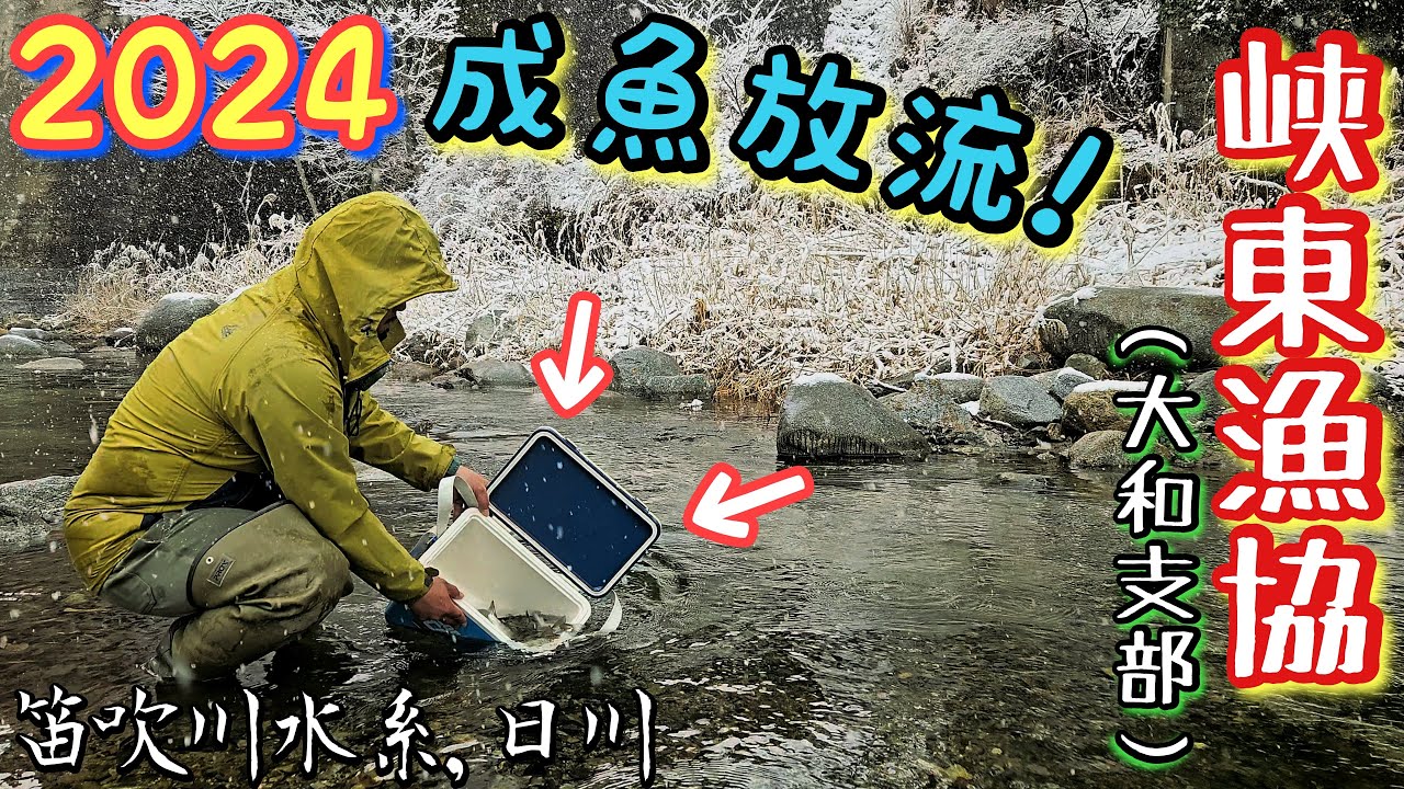 2024渓流釣り開幕！『雪の中の成魚放流～』峡東漁協(大和支部