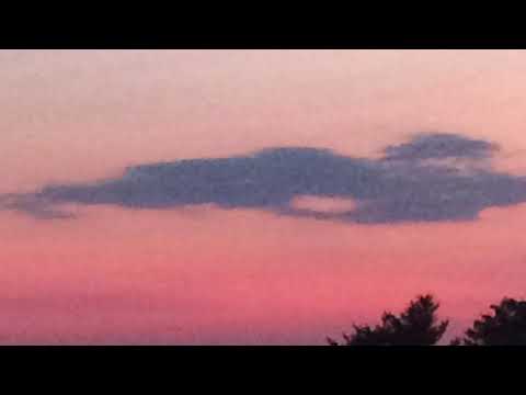 My Movie 5 ლოცვა ძილად დაწოლისა ორშაბათს