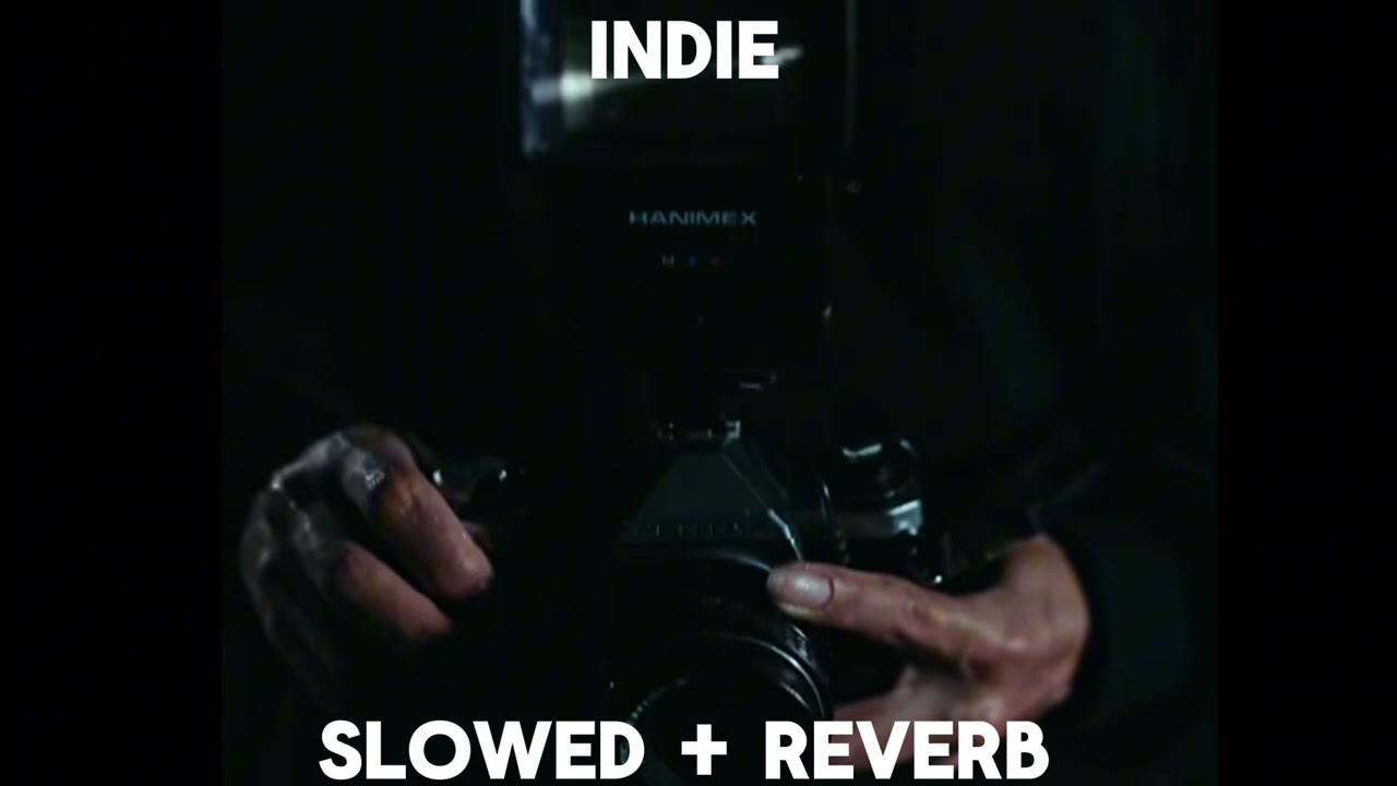 Indie - VIOLENT VIRA | 𝓢𝓵𝓸𝔀𝓮𝓭 + 𝓡𝓮𝓿𝓮𝓻𝓫 𝓗𝓸 |