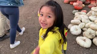 KUWAHARA PUMPKIN PATCH AND THIRLLER PARK (VLOG #11)