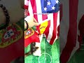 Spain Stole the Spotlight—So Did These Kittens 🇪🇸⚽🐱
