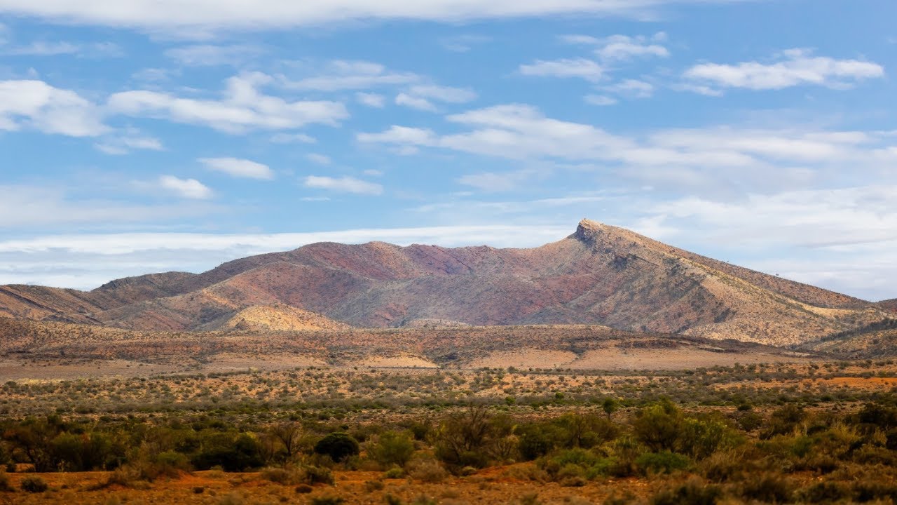 For Sale | Expansive Cattle & Sheep Station, Martins Well Station, Flinders Ranges South Australia